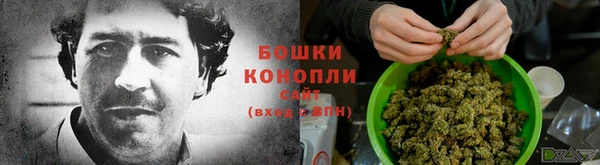 тгк Бронницы