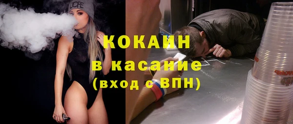стафф Бородино