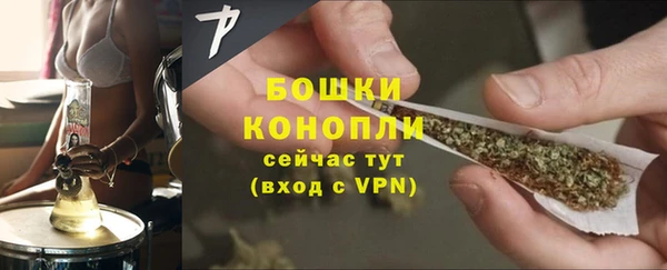стафф Бородино