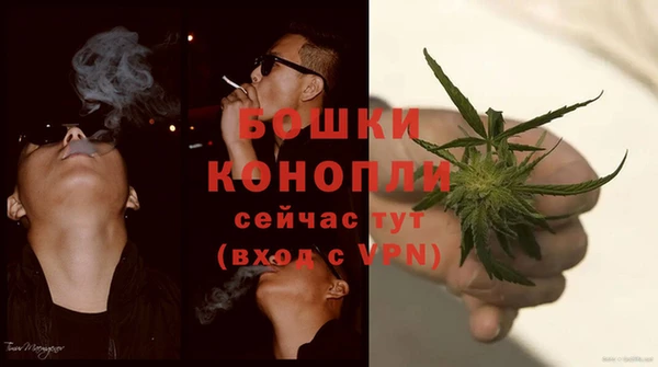 тгк Бронницы