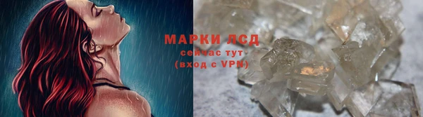 стафф Бородино