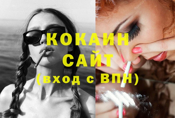 стафф Бородино