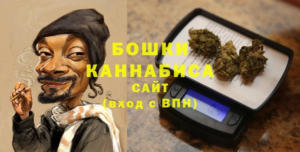 стафф Бородино
