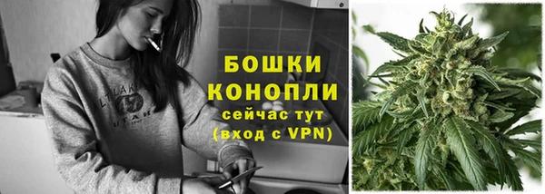 тгк Бронницы
