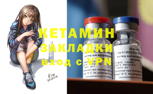 стафф Бородино